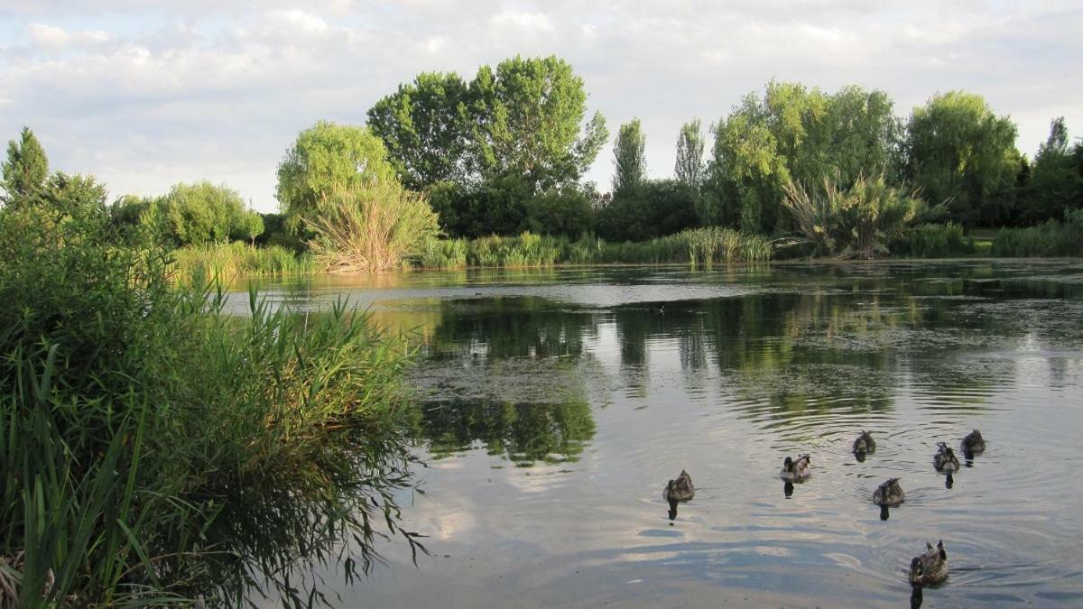Apartament Apartamento Con Piscina Y Parking Gandia Zewnętrze zdjęcie