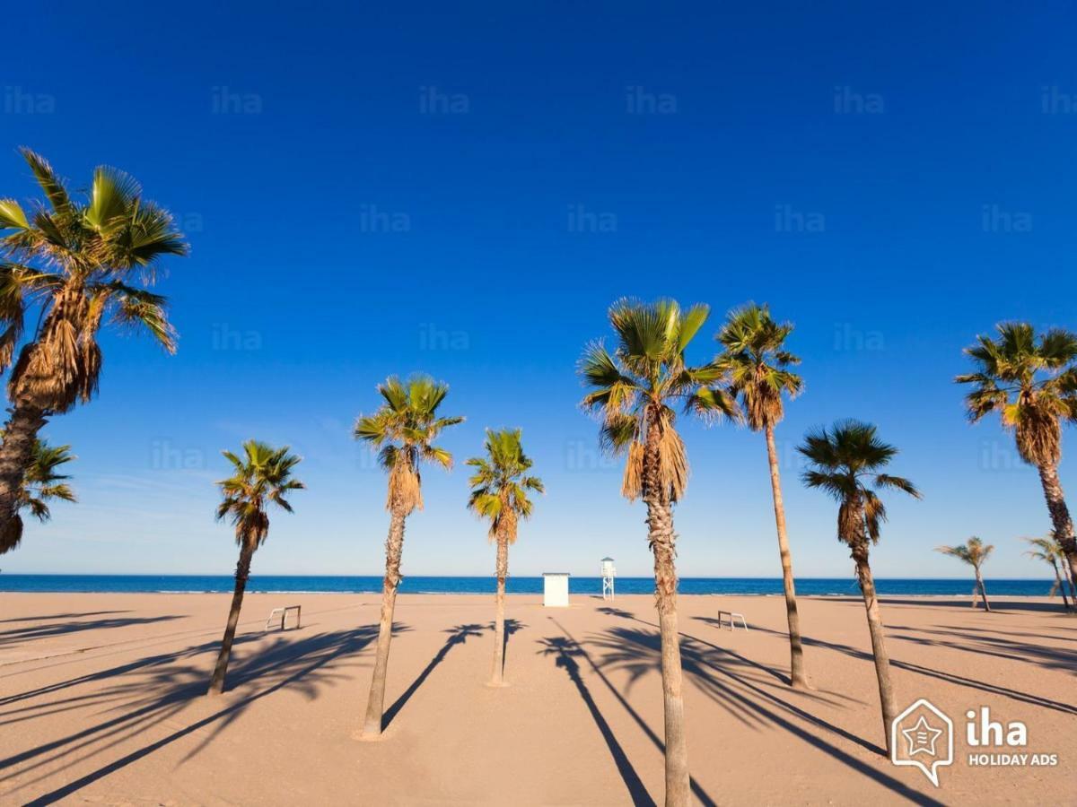 Apartament Apartamento Con Piscina Y Parking Gandia Zewnętrze zdjęcie